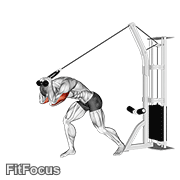 Cable Rope High Pulley Overhead Tricep Extension