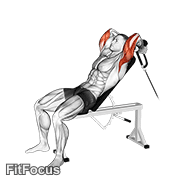 Cable Rope Incline Tricep Extension GIF