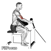 Cable Rope One Arm Hammer Preacher Curl GIF