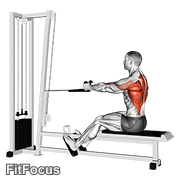 Cable Rope Seated Row GIF