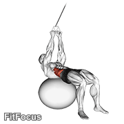 Cable Russian Twists (on Stability Ball) GIF