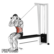 Cable Seated Crunch GIF