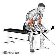 Cable Seated Curl (seated cable curl) GIF — animated arms exercise demonstration