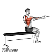 Cable Seated One Arm Alternate Row GIF