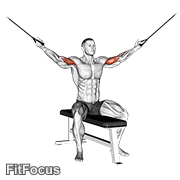 Cable Seated Overhead Curl (seated cable overhead curl) GIF — animated arms exercise demonstration
