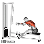 Cable Seated Row GIF