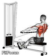 Cable Seated Wide-grip Row GIF