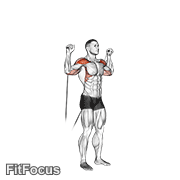 Cable Shoulder Press GIF