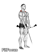 Cable Shrug GIF