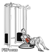 Cable Side Bend Crunch (bosu Ball) GIF