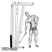Cable Side Bend GIF — animated core exercise demonstration