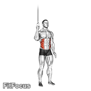 Cable Side Crunch GIF — animated core exercise demonstration