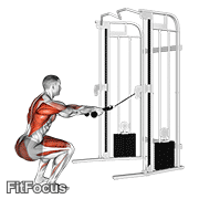 Cable Squat Row (with Rope Attachment) GIF — animated back exercise demonstration