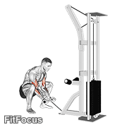 Cable Squatting Curl GIF — animated arms exercise demonstration