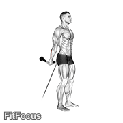 Cable Standing Back Wrist Curl GIF
