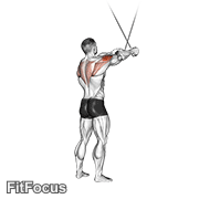 Cable Standing Cross-over High Reverse Fly GIF