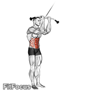 Cable Standing Crunch GIF