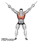 Cable Standing Fly (standing cable fly) GIF — animated chest exercise demonstration