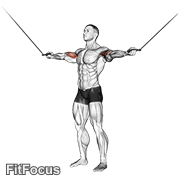 Cable Standing Inner Curl GIF
