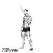 Cable Standing One Arm Triceps Extension GIF