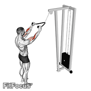 Cable Standing Pulldown (with Rope) (standing cable pulldown with rope) GIF — animated arms exercise demonstration