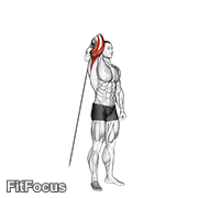 Cable Standing Reverse Grip One Arm Overhead Tricep Extension GIF