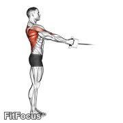 Cable Standing Row (v-bar) GIF
