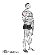 Cable Standing Shoulder External Rotation GIF