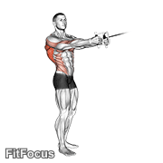 Cable Standing Twist Row (v-bar) GIF