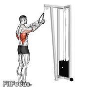 Cable Straight Arm Pulldown (with Rope) GIF