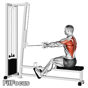 Cable Straight Back Seated Row GIF