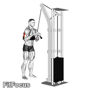Cable Triceps Pushdown (v-bar) (with Arm Blaster) GIF