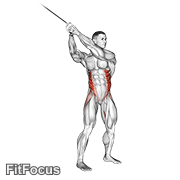 Cable Twist (up-down) GIF