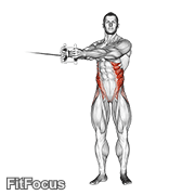 Cable Twist GIF — animated core exercise demonstration