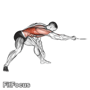 Cable Twisting Pull GIF