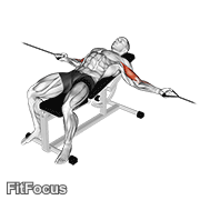 Cable Two Arm Curl On Incline Bench GIF