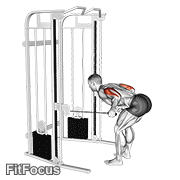 Cable Two Arm Tricep Kickback GIF