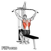Cable Wide Grip Rear Pulldown Behind Neck GIF