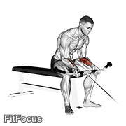 Cable Wrist Curl GIF — animated arms exercise demonstration