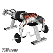 Cambered Bar Lying Row GIF