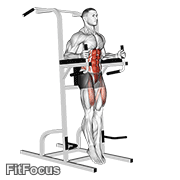 Captains Chair Straight Leg Raise GIF