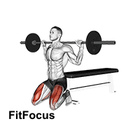 Barbell Squat (on Knees)