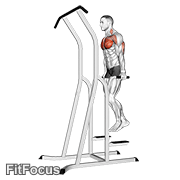 Chest Dip (on Dip-pull-up Cage) GIF