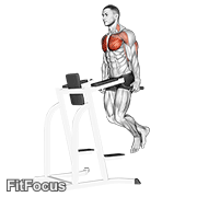 Chest Dip exercise GIF demonstration