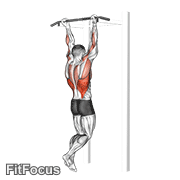 Chin-Up exercise GIF demonstration