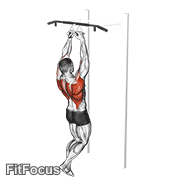 Chin-ups (narrow Parallel Grip) GIF