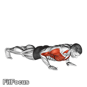 Clap Push Up GIF — animated chest exercise demonstration