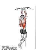 Close Grip Chin-up GIF