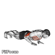 Close-grip Push-up GIF