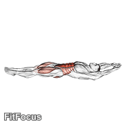 Cocoons GIF